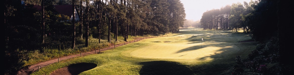 6th-hole-pines